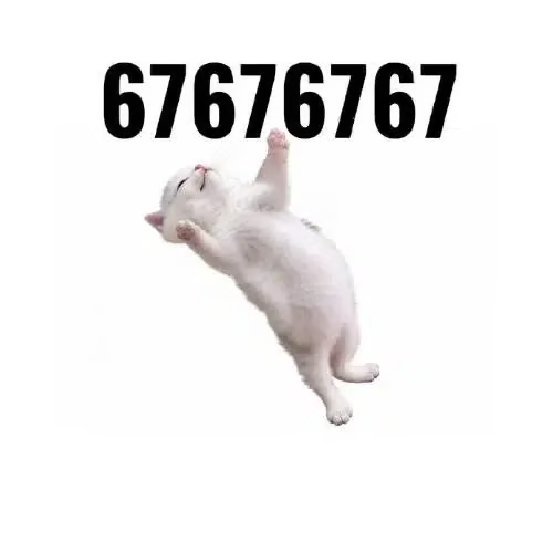 Original white dancing 67cat mascot